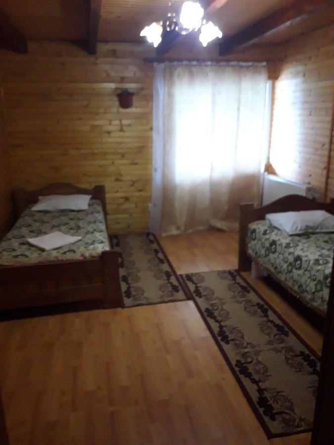 Sadyba Ellada Jaremče Esterno foto